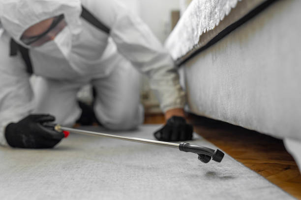 Professional Pest Control technician working in Cleary, MS