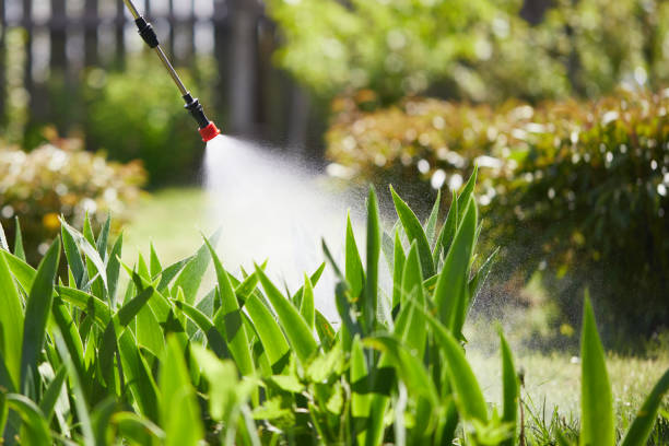 24/7 Emergency Pest Control experts in Cleary, MS