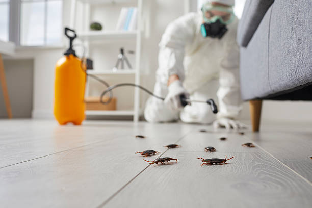 Affordable Pest Control solutions in Cleary, MS