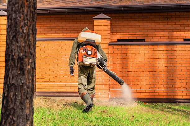 Top rated local Pest Control specialists in Cleary, MS